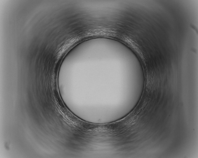 X0000101660578200807101027