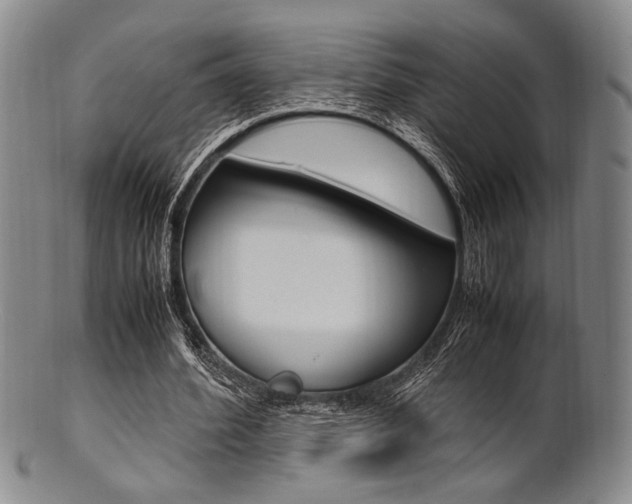 X0000101660580200807101027