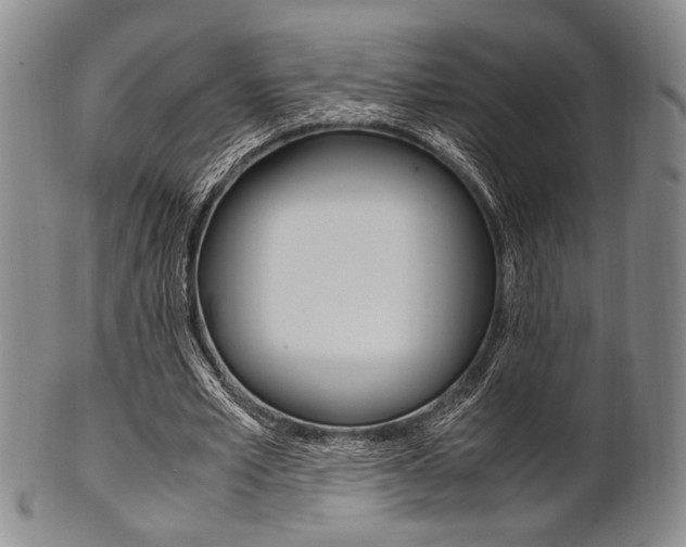 X0000101660581200807101027