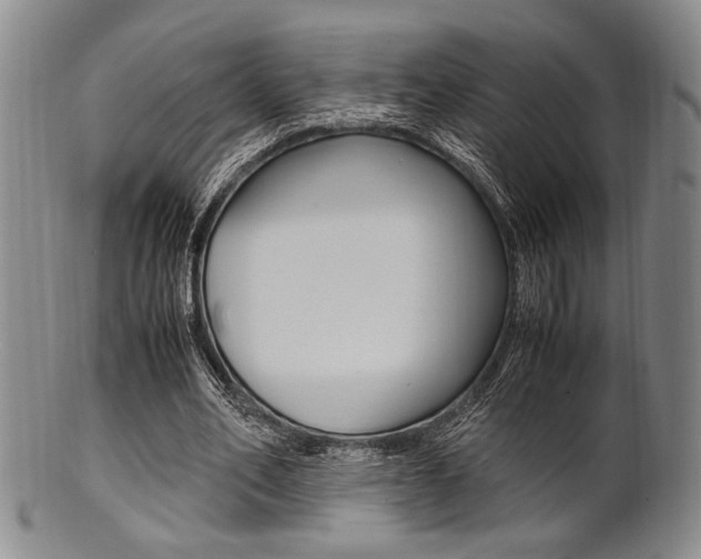 X0000101660582200807101027