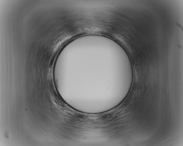 X0000101660583200807101027