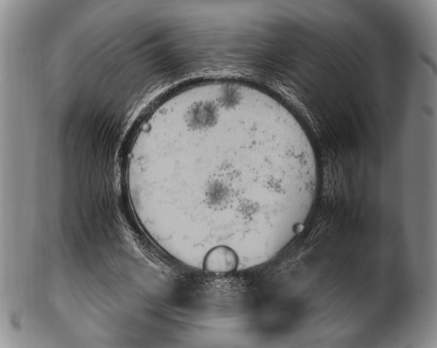X0000101660584200807101027