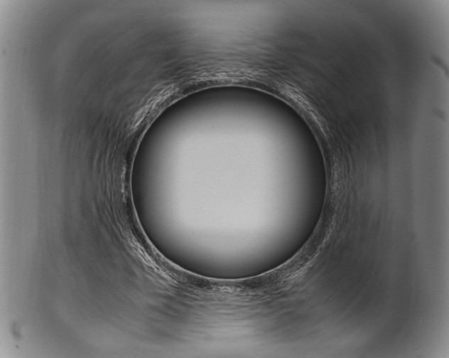 X0000101660585200807101027