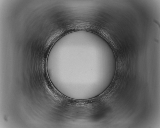 X0000101660586200807101027