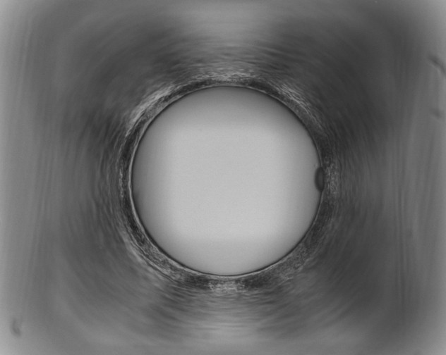 X0000101660587200807101027