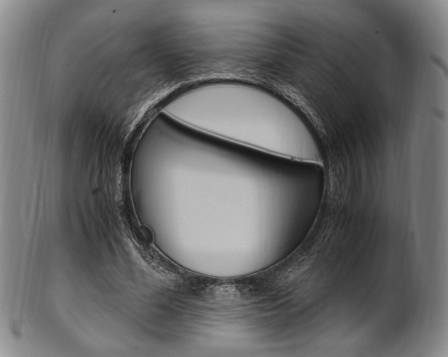 X0000101660588200807101027