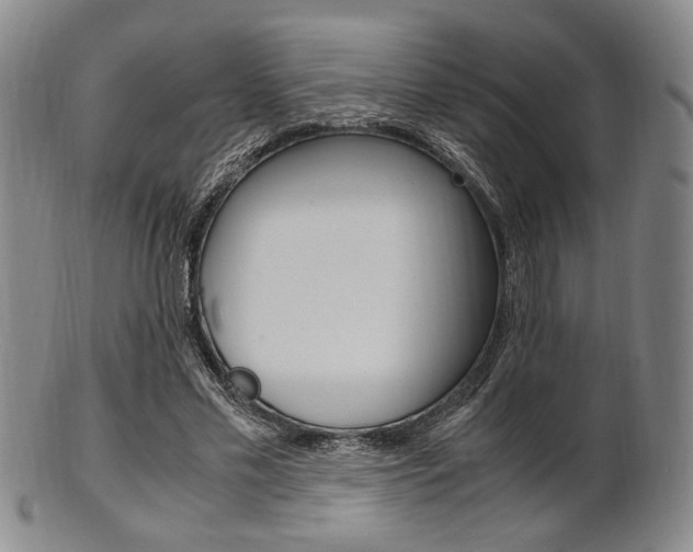 X0000101660589200807101027