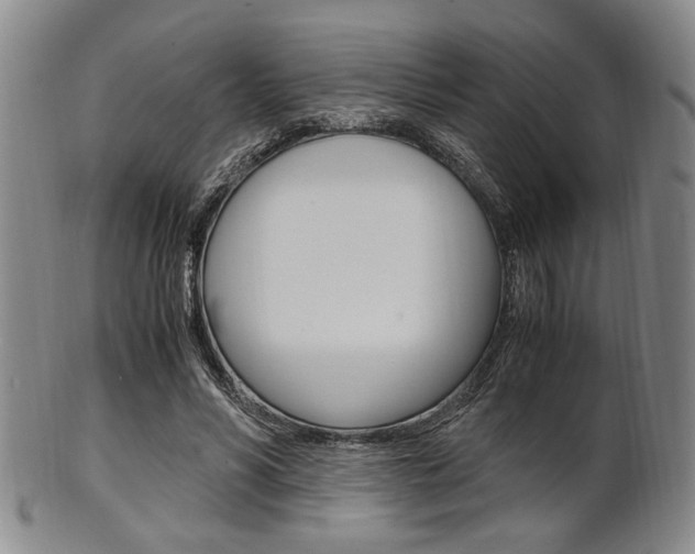 X0000101660590200807101027