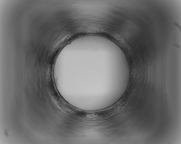 X0000101660591200807101027