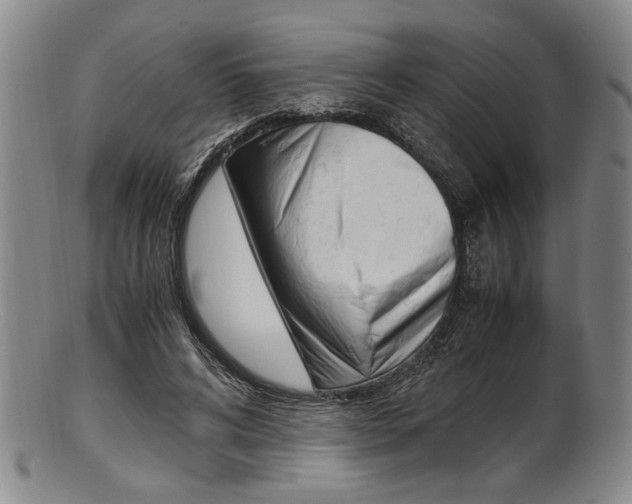 X0000101660592200807101027
