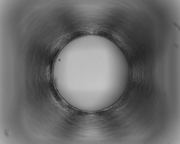 X0000101660594200807101027