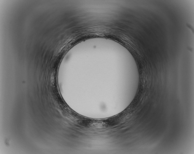 X0000101660595200807101027
