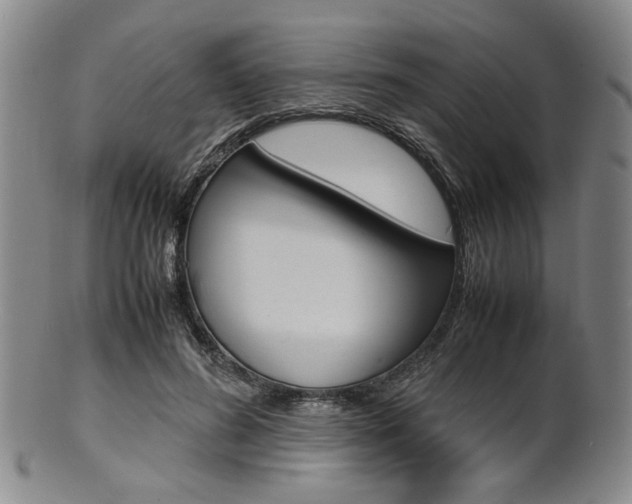X0000101660596200807101027