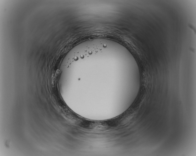 X0000101660597200807101027