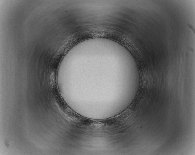 X0000101660598200807101027