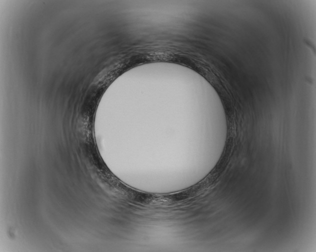 X0000101660599200807101027