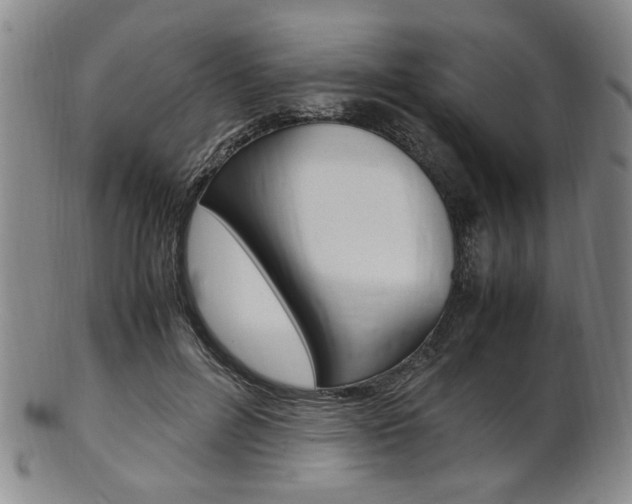 X0000101660600200807101027