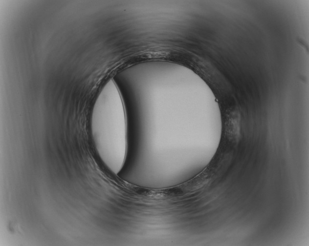 X0000101660604200807101027