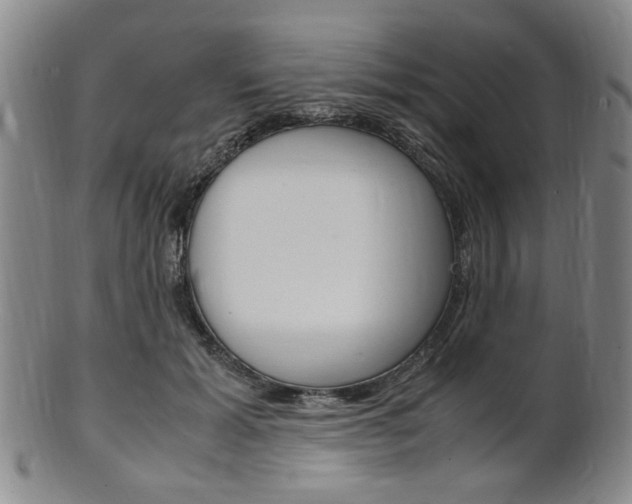X0000101660605200807101027