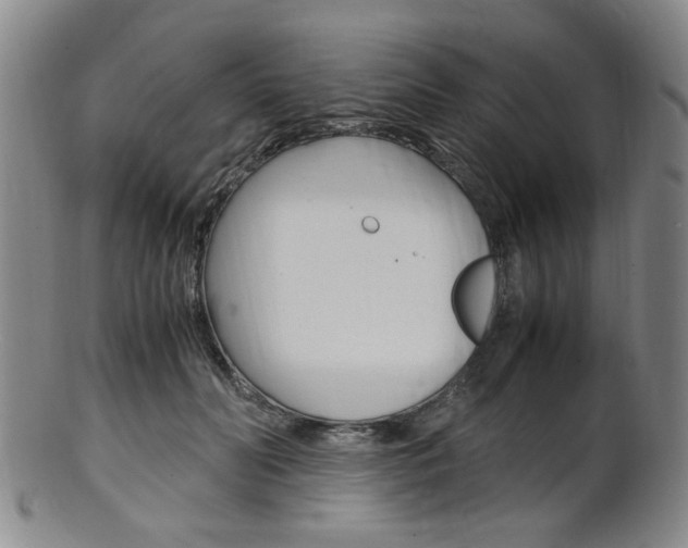X0000101660606200807101027