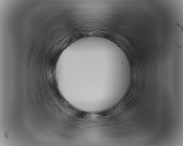 X0000101660607200807101027