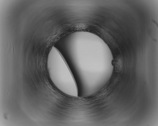 X0000101660608200807101027
