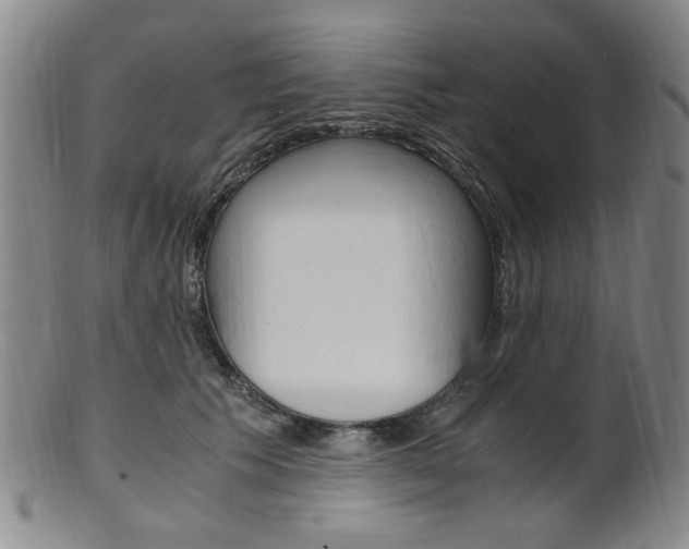 X0000101660609200807101027