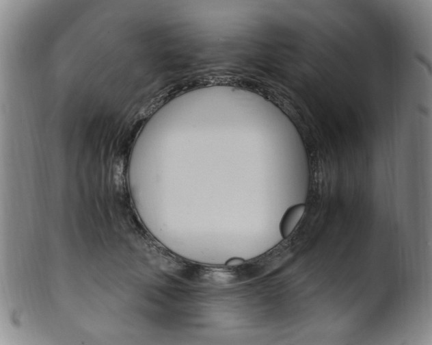 X0000101660610200807101027