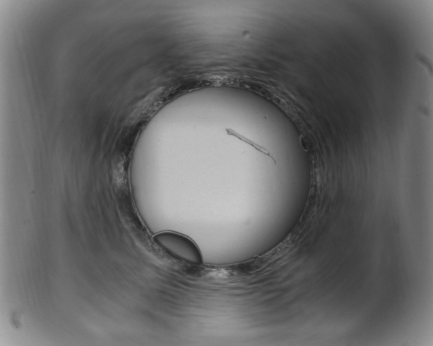 X0000101660611200807101027