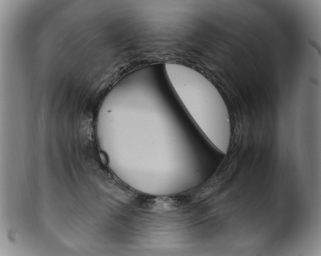 X0000101660612200807101027