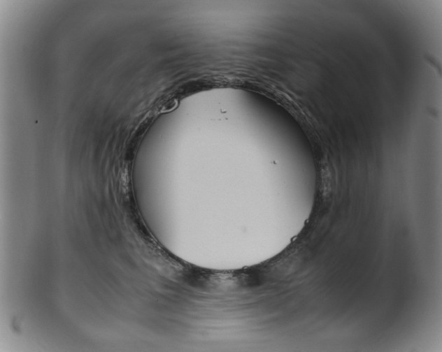 X0000101660613200807101026