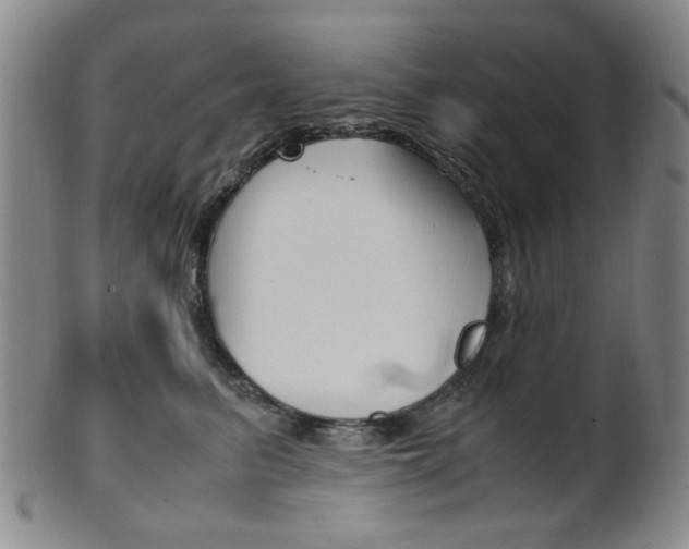 X0000101660615200807101026