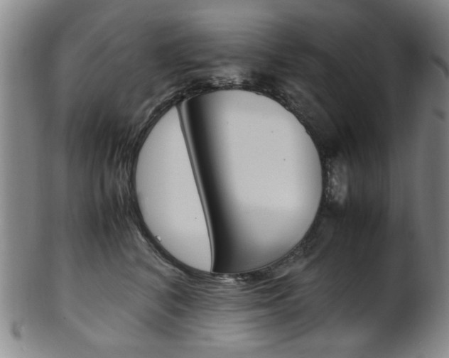 X0000101660616200807101026