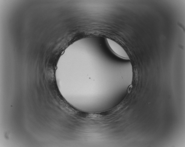 X0000101660617200807101026