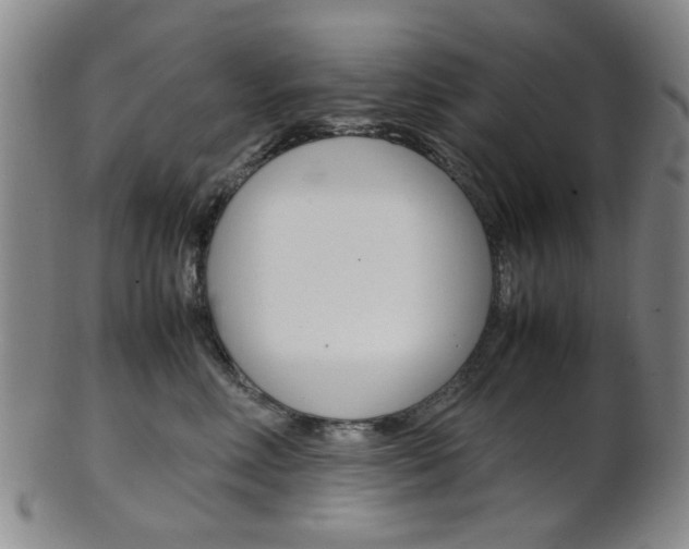 X0000101660618200807101026