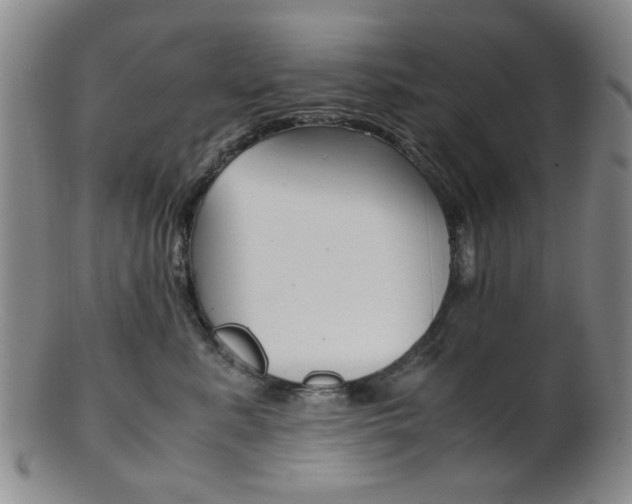 X0000101660619200807101026