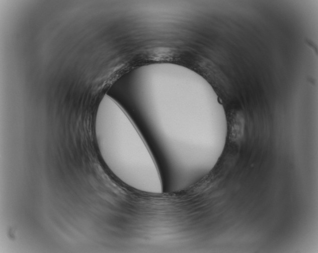 X0000101660620200807101026