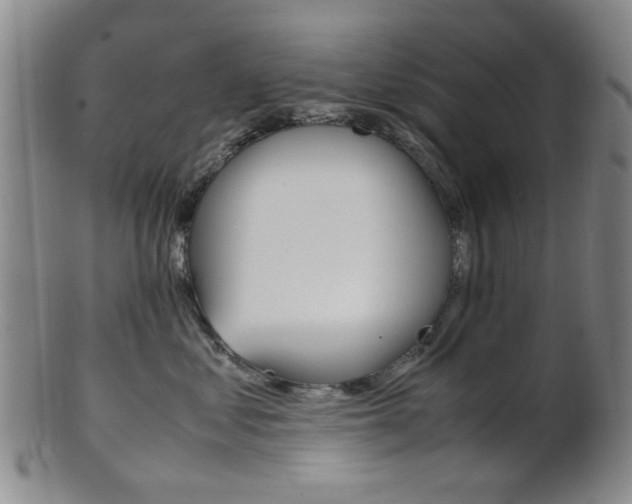 X0000101660621200807101026