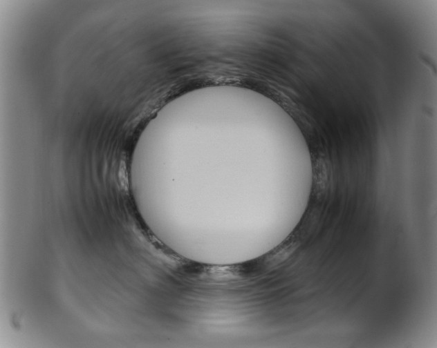 X0000101660622200807101026