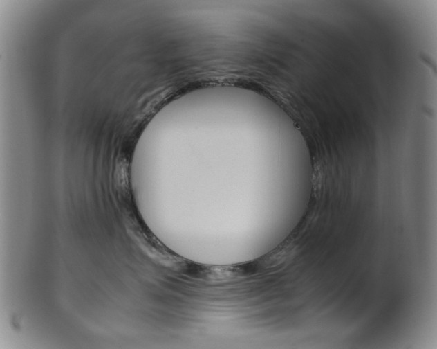 X0000101660623200807101026