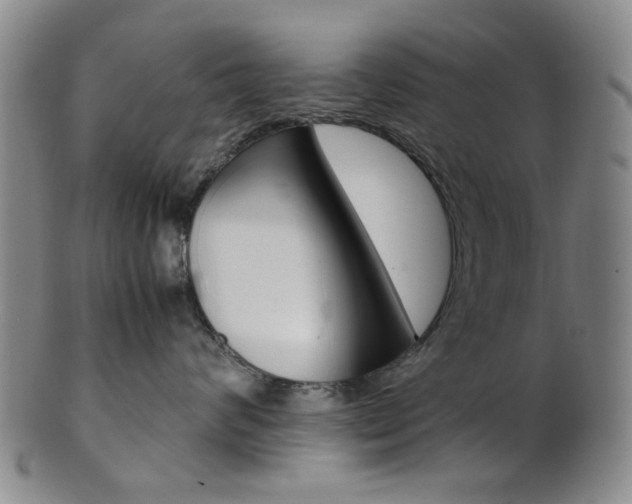 X0000101660624200807101026