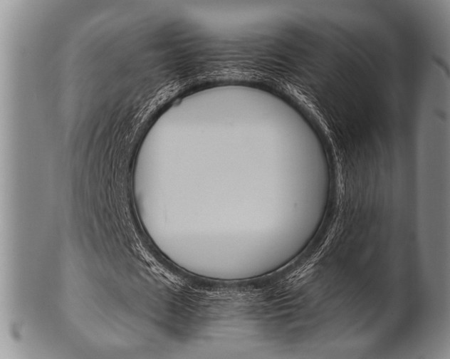 X0000101660625200807101025