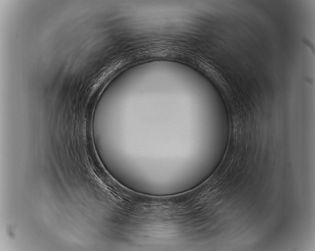 X0000101660626200807101025