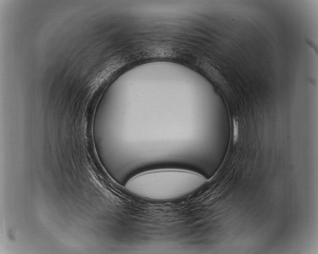 X0000101660627200807101026