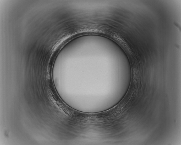 X0000101660628200807101026