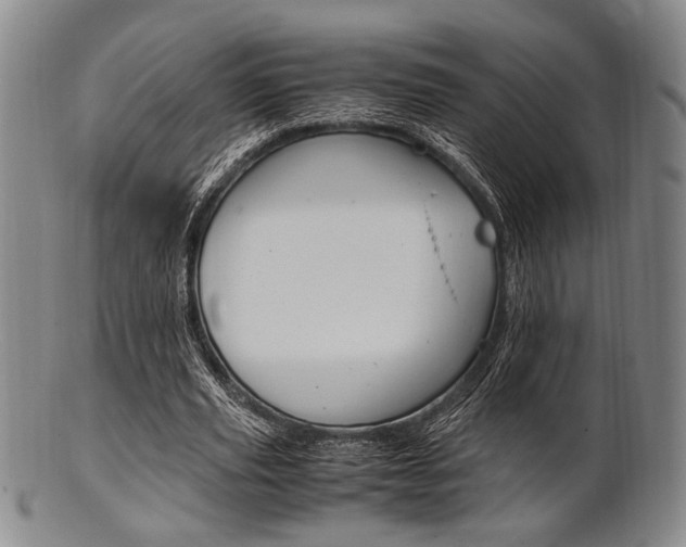 X0000101660629200807101026