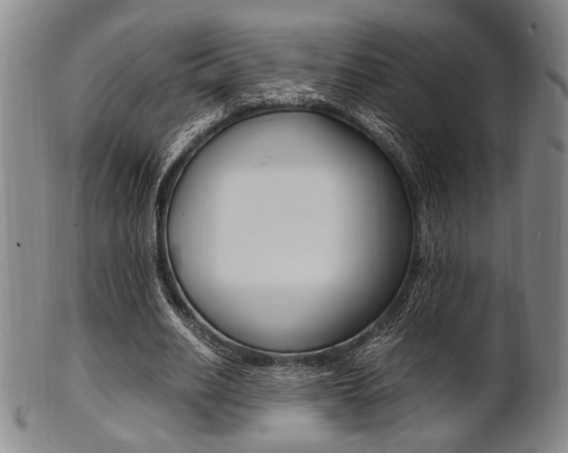 X0000101660630200807101026