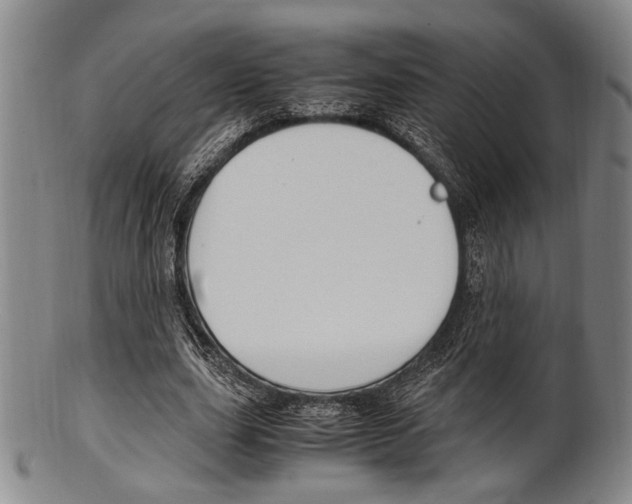 X0000101660631200807101026