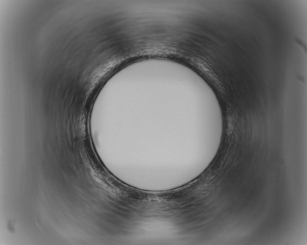 X0000101660632200807101026