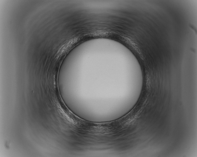 X0000101660633200807101026